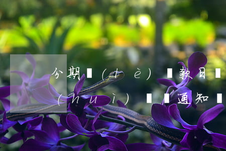 分期樂(lè)還款日當(dāng)天會(huì)電話通知嗎-分期樂(lè)還款當(dāng)天會(huì)打電話嗎