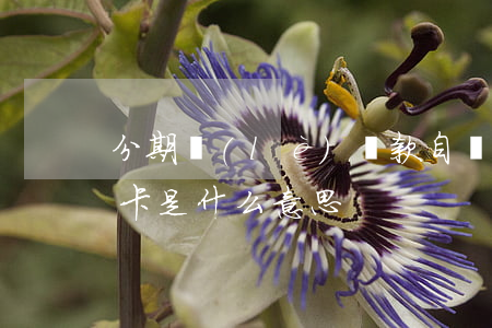 分期樂(lè)還款自動(dòng)扣款卡是什么意思