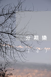 分期樂(lè)還款逾期上征信嗎(分期樂(lè)逾會(huì)上征信嗎)