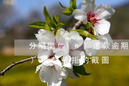 分期樂(lè)還款逾期截圖(分期樂(lè)借款被拒的截圖)