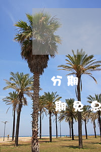 分期樂199黑卡提額多少（分期樂樂黑卡分期免息）