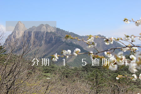 分期樂1萬5逾期2年親身經(jīng)歷-