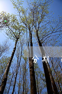 分期樂2000逾期利息怎么算-