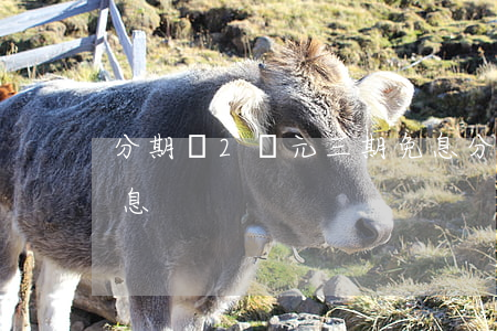 分期樂2萬元三期免息(分期樂2萬元三期免息)