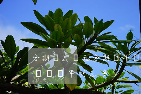 分期樂2萬元分期兩年總還款多少-分期樂兩萬兩年利息多少
