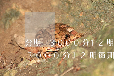 分期樂3000分12期利息多少-分期樂3000分12期每期還多少