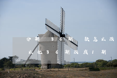 分期樂36期還款怎么改成一期-分期樂怎么把36期改成1期