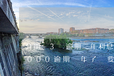 分期樂3萬逾期二年利息多少元(分期樂30000逾期兩年了還要還款嗎?分期樂不還款后果)