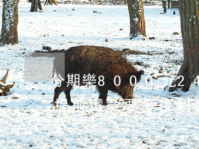 分期樂8000元24期提前還款-分期樂提前還款要多少利息