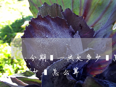 分期樂一共欠多少錢怎么算(分期樂一共欠多少錢怎么算)