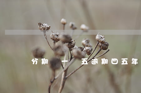 分期樂一萬五逾期四五年沒有還-