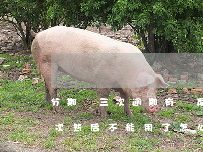 分期樂三次逾期有額度用不了(分期樂逾期兩次然后不能用了 怎么回事)