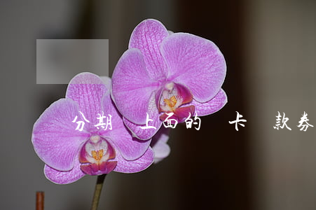 分期樂上面的樂卡還款券兌換碼-分期樂卡劵兌換碼