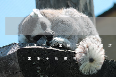 分期樂不出賬單無法還款怎么辦-分期樂不出賬不能還嗎