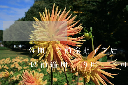 分期樂之前逾期了之后還借的到嗎-分期樂以前逾期過的用戶還可以貸款嗎