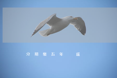 分期樂五年沒還