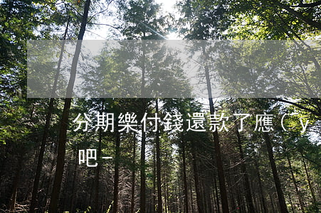 分期樂付錢還款了應(yīng)該沒事了吧-
