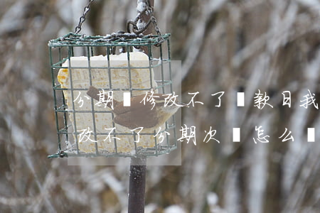 分期樂修改不了還款日我就逾期了-分期樂改不了分期次數怎么辦