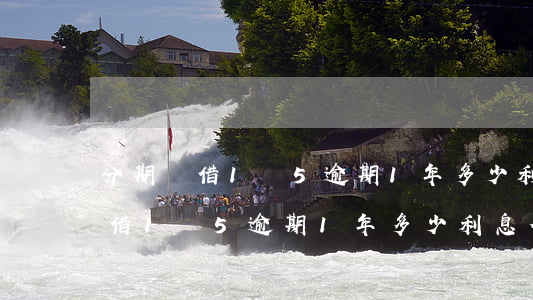 分期樂借1萬5逾期1年多少利息-分期樂借1萬5逾期1年多少利息合適