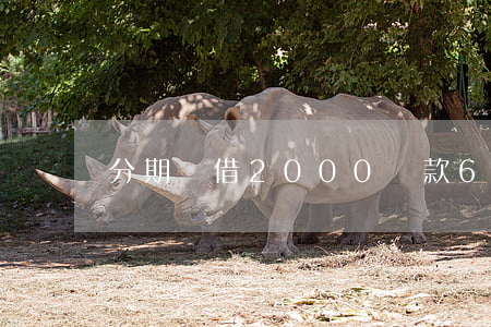 分期樂借2000還款6期利息-
