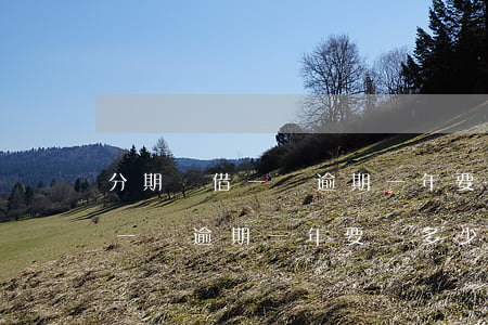 分期樂借一萬逾期一年要還多少-分期樂借一萬逾期一年要還多少錢?