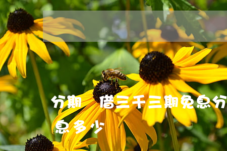 分期樂借三千三期免息(分期樂借3000利息多少)