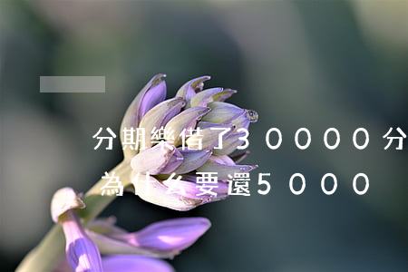 分期樂借了30000(分期樂借了3000為什么要還5000)