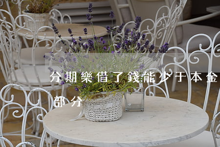 分期樂借了錢能少于本金還款嗎-分期樂還部分