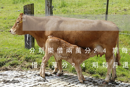 分期樂借兩萬分24期每月還多少-分期樂借2萬分24期每月還多少