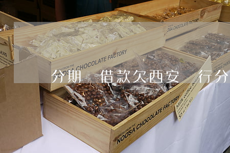 分期樂借款欠西安銀行(分期樂和西安銀行)
