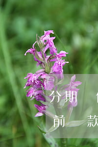 分期樂借錢提前還款有什么后果-分期樂提前還款會有什么影響