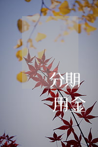 分期樂備用金還了怎么還款成功-分期樂備用金還了還可以用嗎