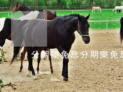 分期樂 免息（分期樂免息金是額度嗎）