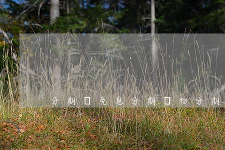 分期樂免息分期購物(分期樂免息卷的用法)