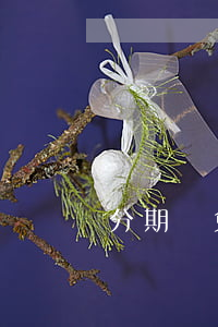 分期樂免息券在哪領(lǐng)取