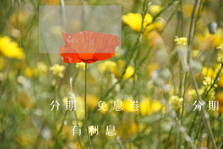 分期樂免息卷兌換碼(分期樂的免息券是不是沒有利息)