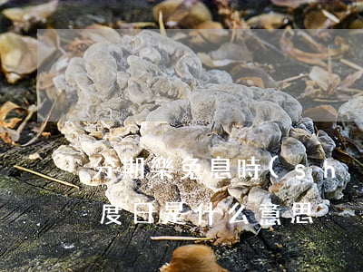 分期樂免息時(shí)間-分期樂免息額度日是什么意思