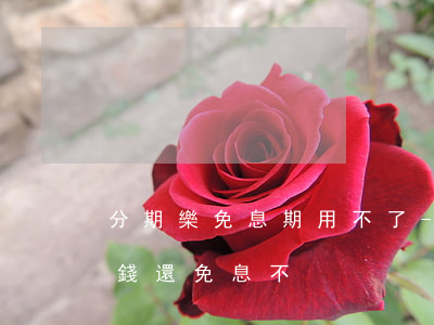 分期樂免息期用不了-分期樂免息額度日借錢還免息不