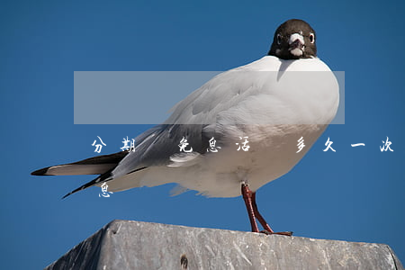 分期樂免息活動多久一次（2021分期樂免息）