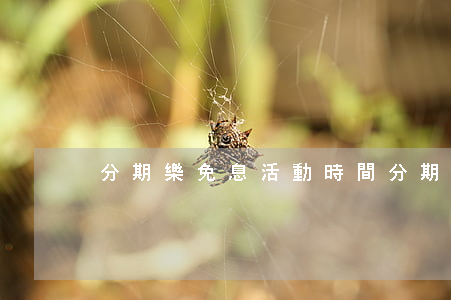 分期樂免息活動時間（分期樂元旦免息）