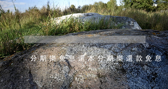 分期樂免息還本(分期樂還款免息)
