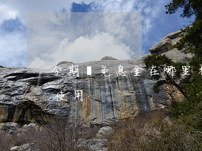 分期樂免息金在哪里看(分期樂的免息金怎么使用)