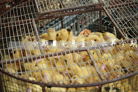 分期樂免息金怎么算 分期樂免息額度是什么