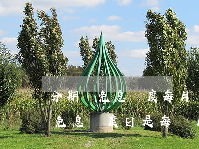 分期樂免息額度每月還款時間限制-分期樂免息額度日是每個月都有嗎