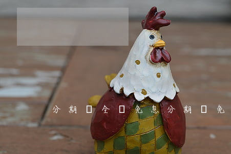 分期樂全場免息(分期樂免息卷可以干嘛使用)