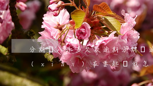 分期樂八千多欠款逾期(分期樂逾期8千多,現(xiàn)在要起訴我怎么辦)