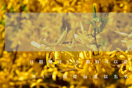 分期樂分18期的可以提前還款嗎-分期樂分18期提前還款怎么算