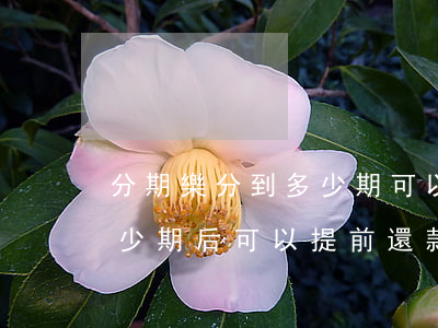 分期樂分到多少期可以提前還款-分期樂多少期后可以提前還款