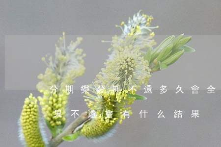 分期樂分期不還多久會全部還款-分期樂如果不還會有什么結果