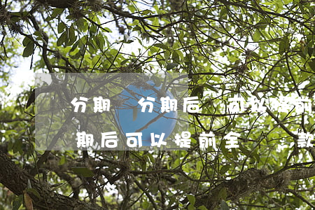 分期樂分期后還可以提前還款嗎-分期樂分期后可以提前全額還款嗎?